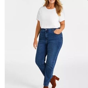 Style &Co High Rise Straight Leg Jean Plus Size 20W